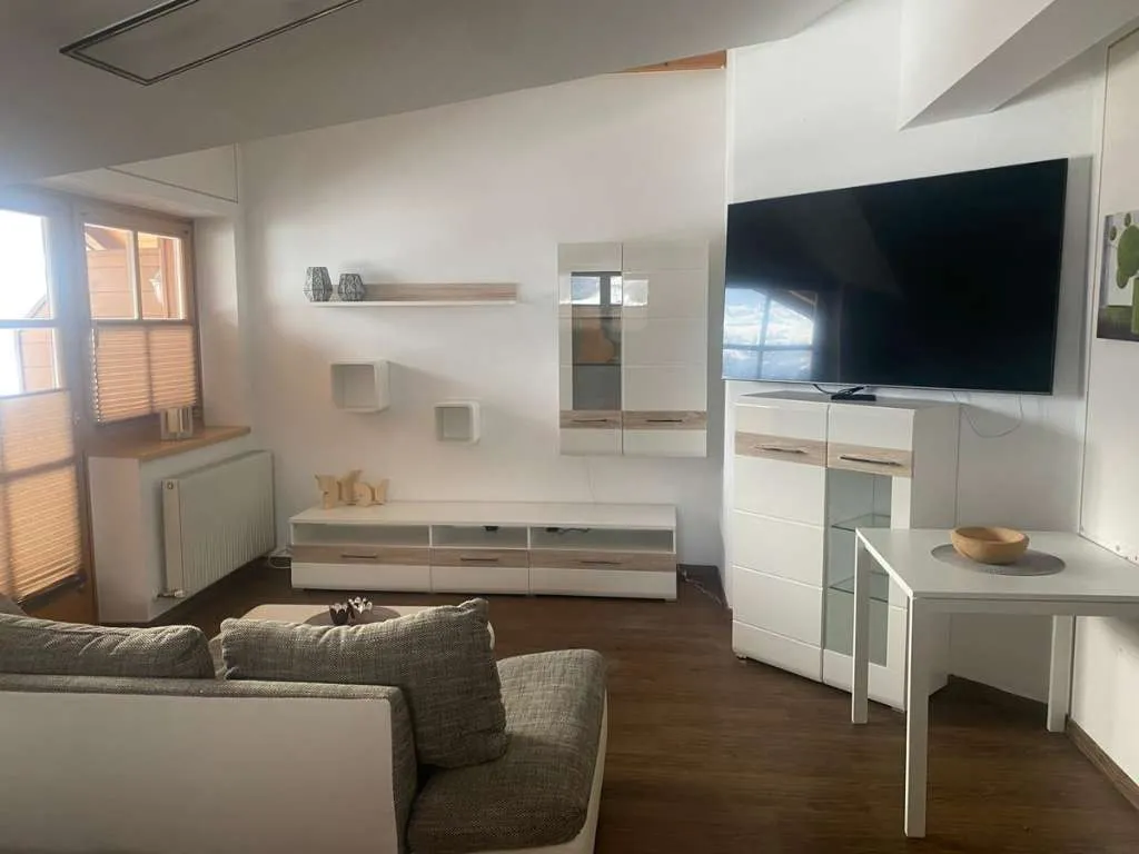 Vermiete Wohnung 40m3 mit Balkon - Ansicht 3