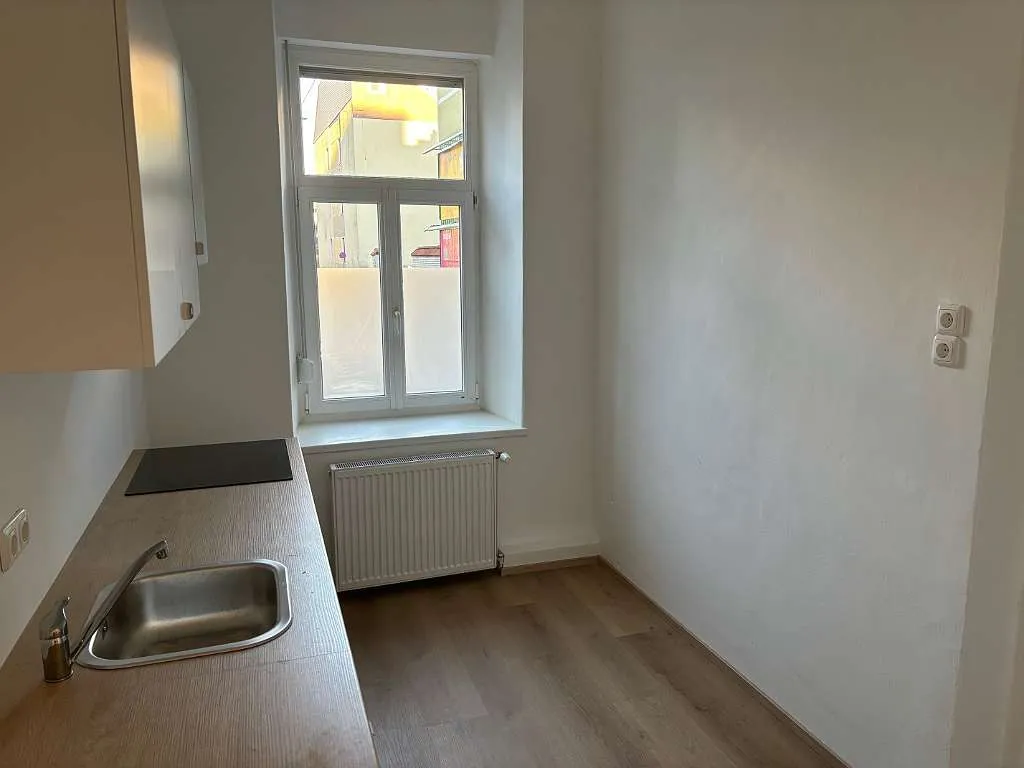 Charmante ruhige 1-Zimmer-Wohnung - AVL und Lendplatz Nähe – pohled 3