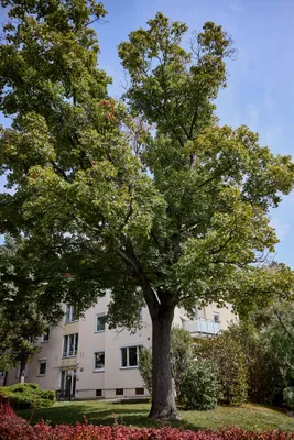 4-Zimmer-Wohnung kaufen in Wien – 100 m², € 745.000 – Bild 52 von 55
