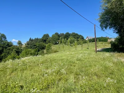 Grundstück kaufen in Leibnitz – 11 000 m², € 485.000 – Bild 3 von 17