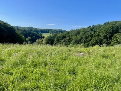 Grundstück kaufen in Leibnitz – 11 000 m², € 485.000 – Bild 2 von 17