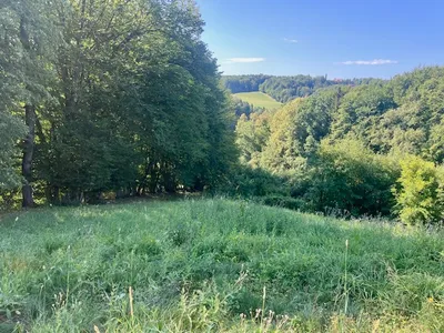 Grundstück kaufen in Leibnitz – 11 000 m², € 485.000 – Bild 4 von 17