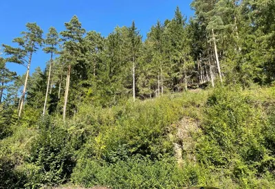 Grundstück kaufen in Voitsberg – 761 m², € 79.000 – Bild 2 von 2