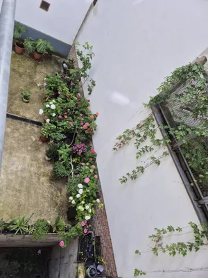 2-Zimmer-Wohnung kaufen in Wien – 45 m², € 259.000 – Bild 19 von 20