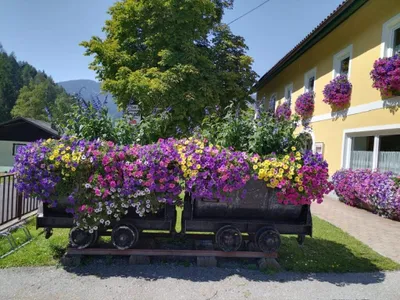7-Zimmer-Gewerbeimmobilie kaufen in Villach Land – 300 m², € 395.000 – Bild 38 von 38