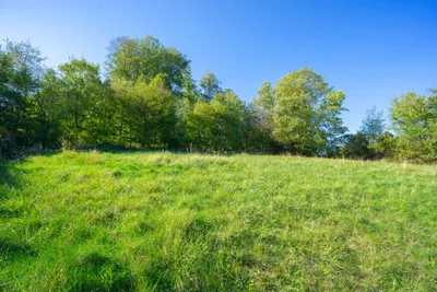 Grundstück kaufen in Sankt Pölten Land – 1 051 m², € 220.000 – Bild 6 von 6