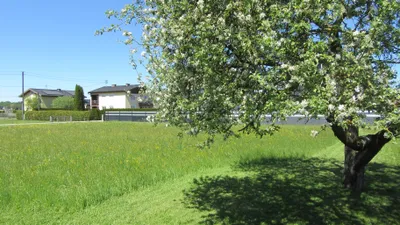 Grundstück kaufen in Braunau am Inn – 1 336 m², € 329.000 – Bild 6 von 6