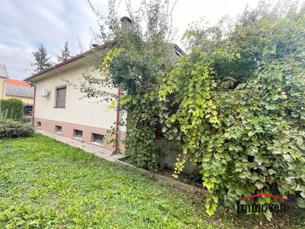 Ein großzügiges Einfamilienhaus in Aspern! - Ansicht 3