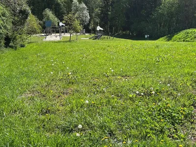 Grundstück kaufen in Graz-Umgebung – 1 535 m², € 299.000 – Bild 3 von 3