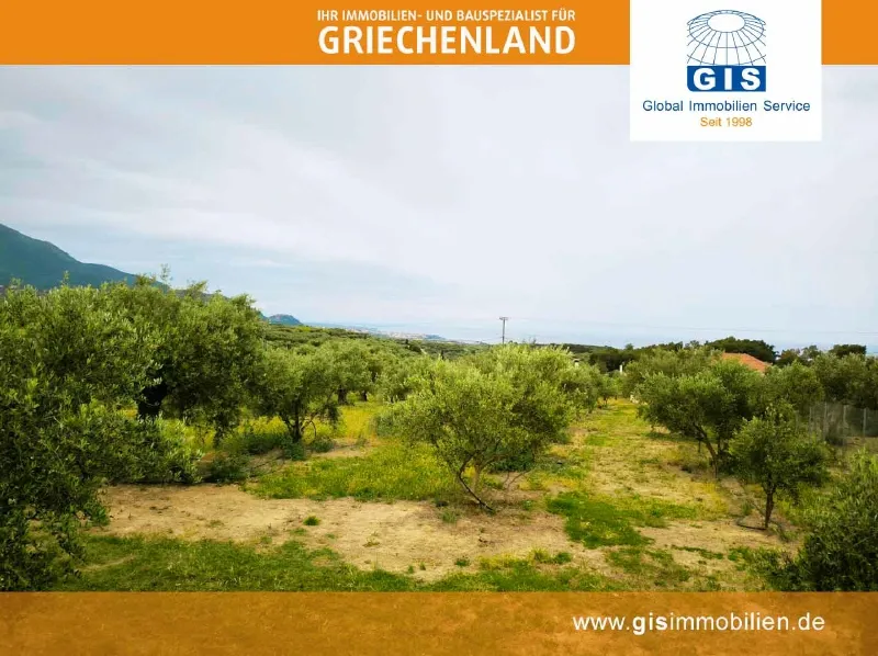 +++ GRIECHENLAND-WEST-PELOPONNES-GRUNDSTÜCK: Mit traumhaftem Meerblick bei Kyparissia +++ - Ansicht 2
