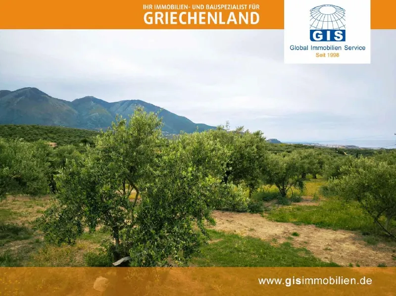 +++ GRIECHENLAND-WEST-PELOPONNES-GRUNDSTÜCK: Mit traumhaftem Meerblick bei Kyparissia +++ - Ansicht 3
