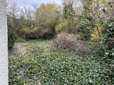 7-Zimmer-Haus kaufen in Hollabrunn – 140 m², € 429.000 – Bild 13 von 71