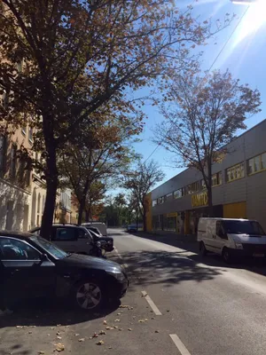 3-Zimmer-Wohnung mieten in Wien – 97 m², € 1.099 – Bild 29 von 33