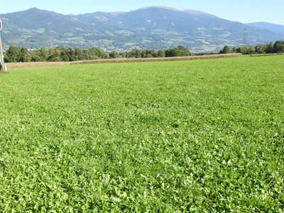 Grundstück kaufen in Wolfsberg – 101 685 m² – Bild 3 von 4