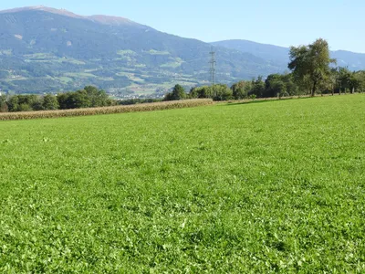 Grundstück kaufen in Wolfsberg – 101 685 m² – Bild 4 von 4
