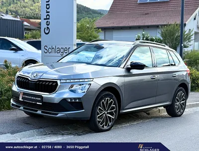 Skoda Kamiq 1,0 TSI Selection DSG