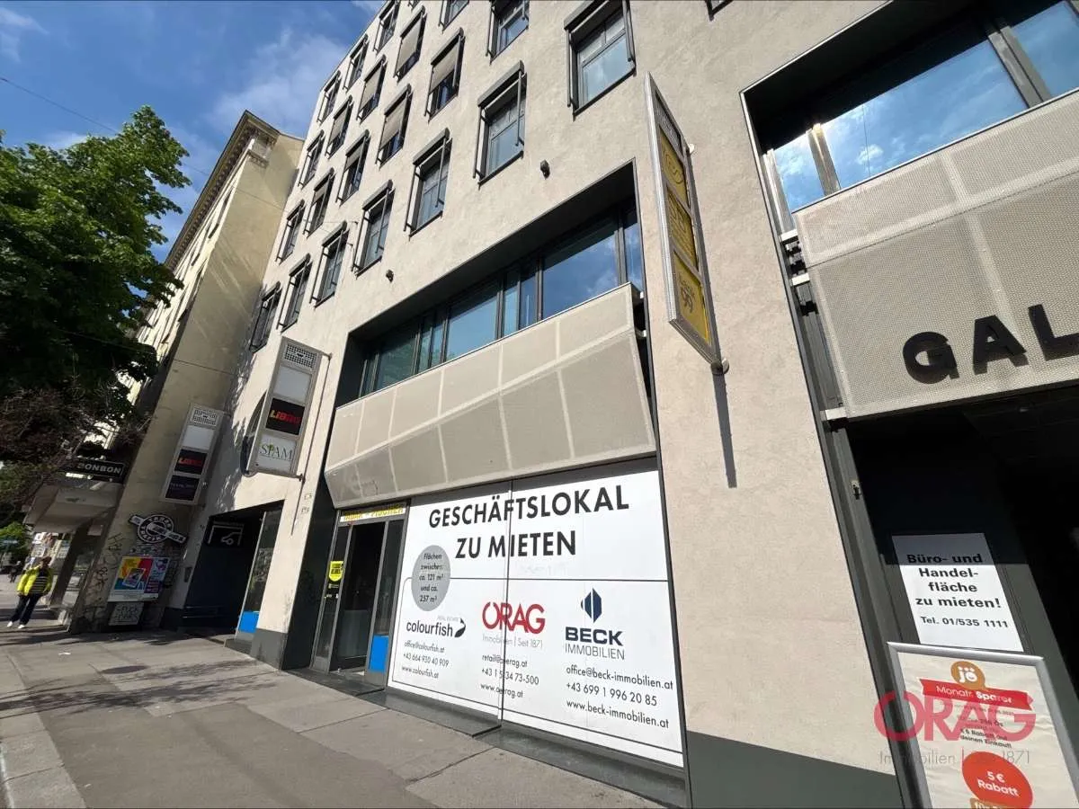 Geschäftsfläche in der Galerie Wieden zu mieten! - Widok 2