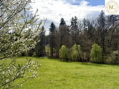 Grundstück kaufen in Graz – 2 753 m², € 549.000 – Bild 3 von 7