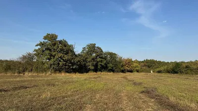 Grundstück kaufen in Österreich – 3 002 m², € 16.200 – Bild 11 von 23