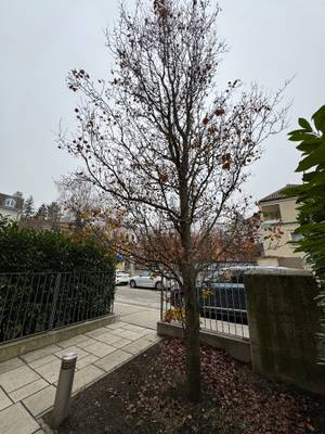 Sehr schöne & helle DG-Wohnung mit 2 Terrassen in sehr guter Döblinger-Lage mit herrlichem Panorama - barrierefrei mit Lift - inkl. 2 PKW-Garagenplätze; inkl. Heizung und Warmwasser (Warm-Miete) – Bild 3