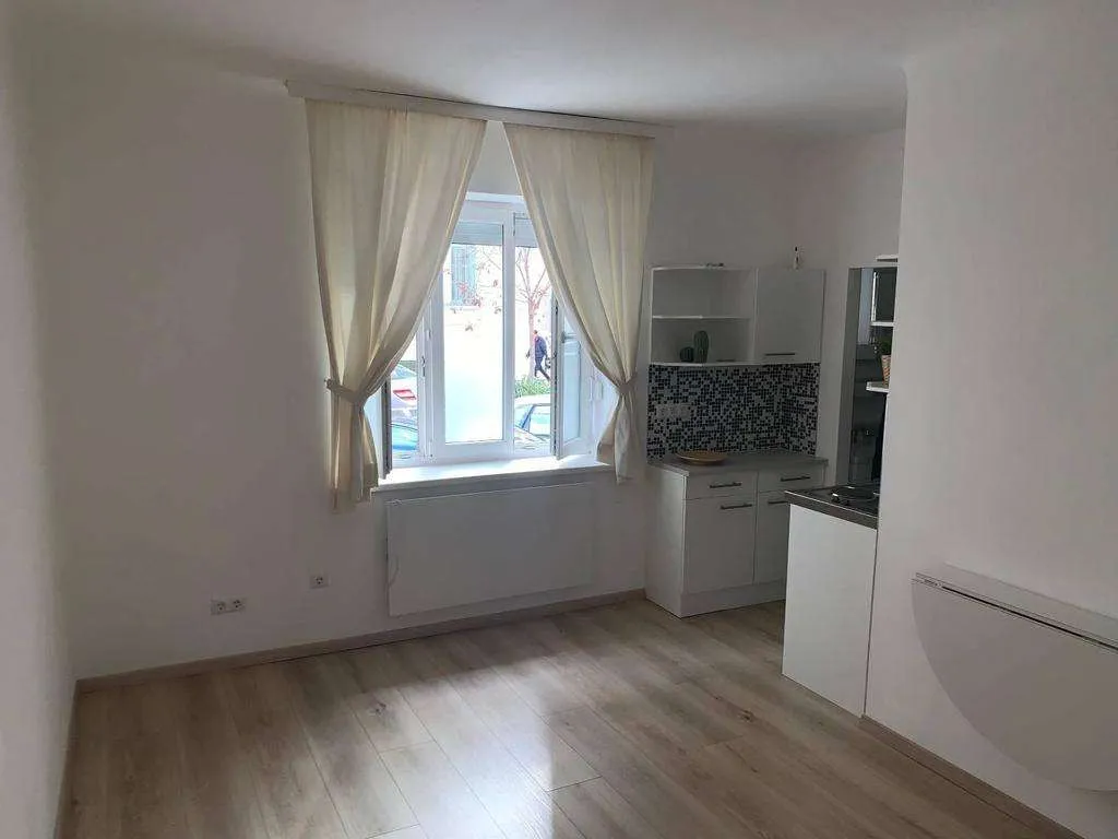 kleine, feine, Wohnung im 6. Bezirk, 25,1 m², € 175.000,-, (1060 Wien