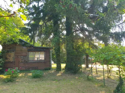 Grundstück kaufen in Wien – 1 142 m², € 1.250.000 – Bild 3 von 6