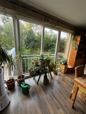 2-Zimmer-Haus mieten in Wels-Land – 120 m², € 2.200 – Bild 11 von 15