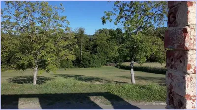 Grundstück kaufen in Südoststeiermark – 2 357 m², € 135.000 – Bild 3 von 19