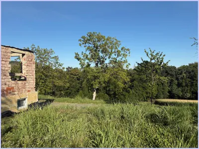 Grundstück kaufen in Südoststeiermark – 2 357 m², € 135.000 – Bild 13 von 19