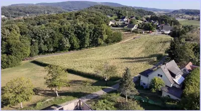 Grundstück kaufen in Südoststeiermark – 2 357 m², € 135.000 – Bild 11 von 19