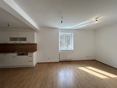 2-Zimmer-Wohnung mieten in Krems Land – 46,59 m², € 772 – Bild 9 von 15