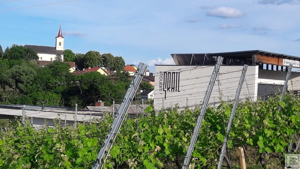Ein Weingut mit Seele - ausgezeichnet & etabliert! - Ansicht 3