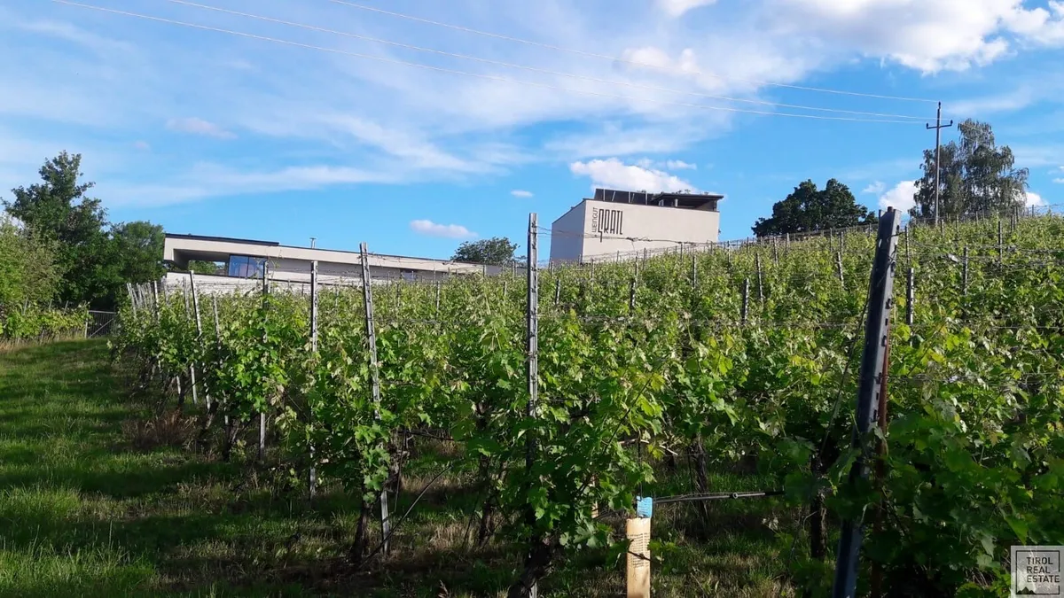 Ein Weingut mit Seele - ausgezeichnet & etabliert! - Ansicht 2