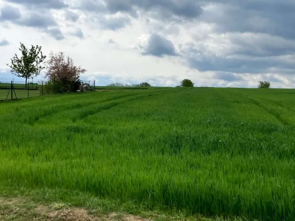 Provisionsfrei: Traumhaft schönes Baugrundstück in Schleinz, sonnig und mitten im Grünen! - Ansicht 2
