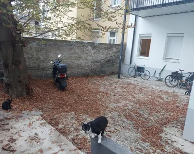 2-Zimmer-Wohnung kaufen in Wien – 39 m², € 250.000 – Bild 3 von 13