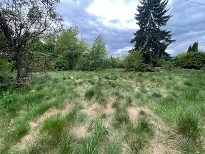 Gewerbeimmobilie kaufen in Murtal – 1 000 m², € 495.000 – Bild 11 von 15