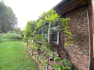6-Zimmer-Haus kaufen in Hartberg-Fürstenfeld – 313 m², € 520.000 – Bild 17 von 53