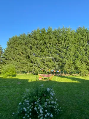 6-Zimmer-Haus kaufen in Hartberg-Fürstenfeld – 313 m², € 520.000 – Bild 14 von 53