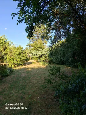 Haus kaufen in Hollabrunn – 85 m², € 120.000 – Bild 22 von 22