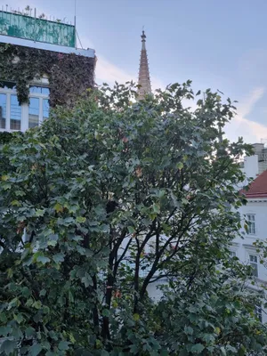 2-Zimmer-Wohnung kaufen in Wien – 50 m², € 339.000 – Bild 20 von 20