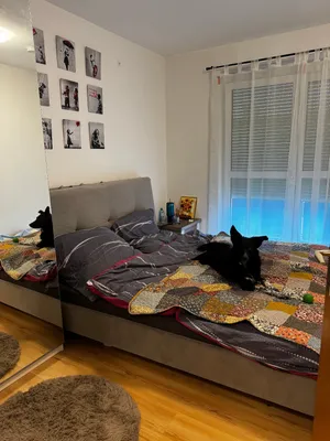 2-Zimmer-Wohnung mieten in Sankt Pölten Land – 65,85 m², € 627 – Bild 4 von 7