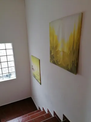 2-Zimmer-Wohnung mieten in Leibnitz – 50 m², € 650 – Bild 10 von 13