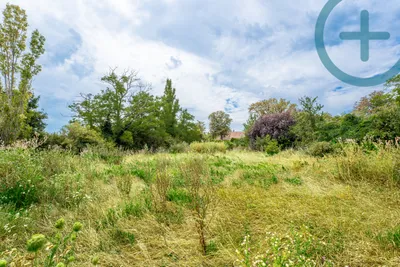 Grundstück kaufen in Eisenstadt - Umgebung – 3 306 m², € 1.090.000 – Bild 6 von 10