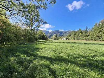 Immobilie kaufen in Lilienfeld – 260 m², € 900.000 – Bild 19 von 29