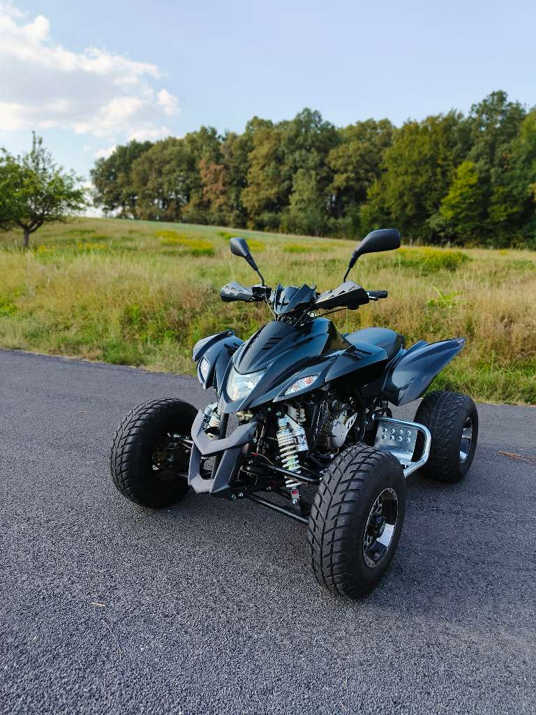 (verkauft) Dinli 450 Special Quad