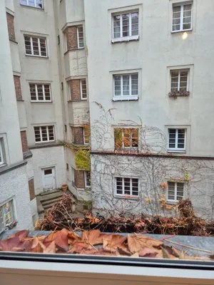 Charmante 1-Zimmer-Wohnung mit neuer Küche und Bad – Bild 2