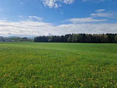 Grundstück kaufen in Braunau am Inn – 1 059 m², € 315.000 – Bild 3 von 4