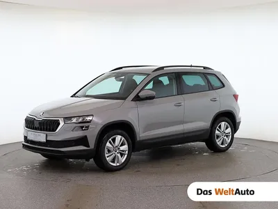 Skoda Karoq 4x4 Selection TDI DSG