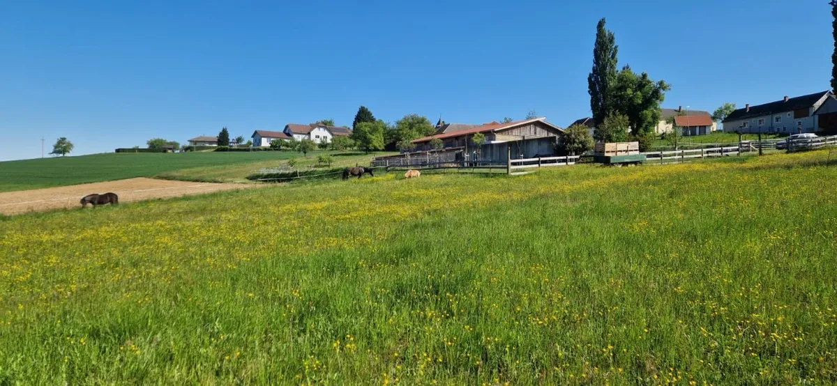 Mehr als ein Pferdestall - vielseitige Liegenschaft mit Halle und ca. 3,7 ha Wiesenflächen - Ansicht 3