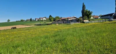 Grundstück kaufen in Güssing – 6 096 m², € 395.000 – Bild 3 von 14
